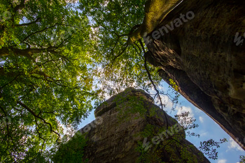 Preview: nature view of Saxon Switzerland National Park, Germany