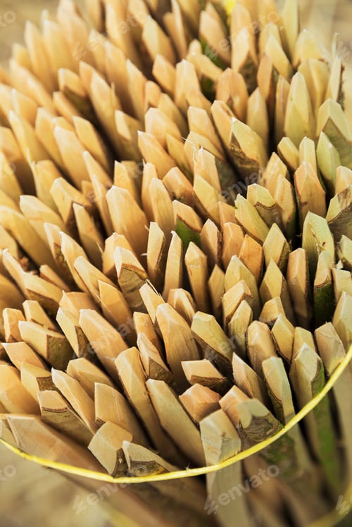 Preview: Close up of a bundle of wooden pegs used for thatching a roof.