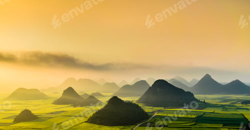 Preview: Yellow rapeseed (canola) flower field in spring, Luoping, China