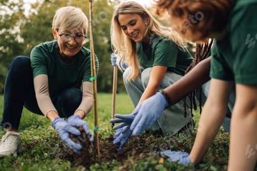 Preview: Volunteers planting a tree in a park