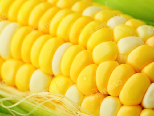 Preview: corn cob