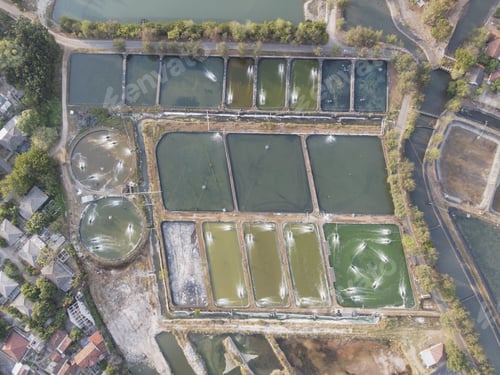 Preview: prawn farming with with aerator pump oxygenation water near ocean.