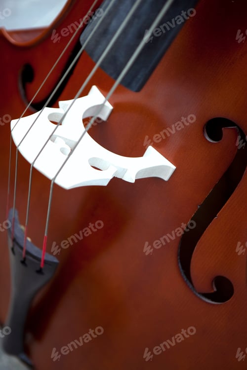 Preview: Bass