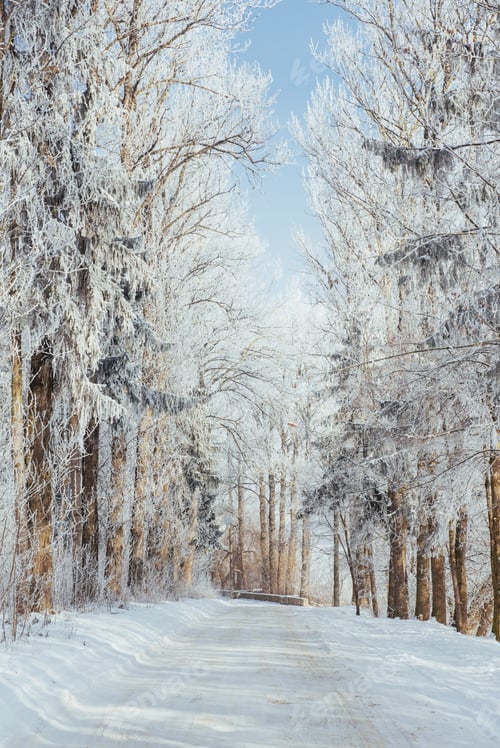 Preview: the winter road. Dramatic scene. Carpathian, Ukraine, Europe.