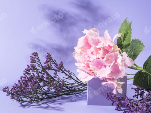 Preview: Spring summer floral podium scene on purple background with pink hortensia