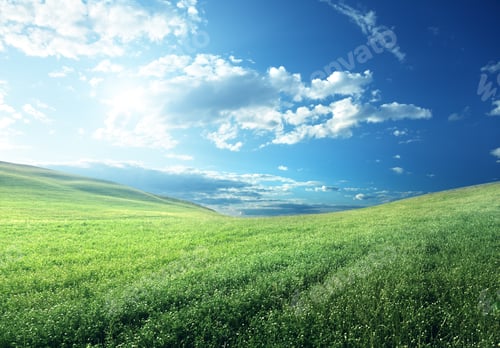 Preview: Field Of Spring Grass