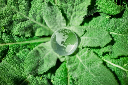 Preview: Glass Earth globe on green grass background