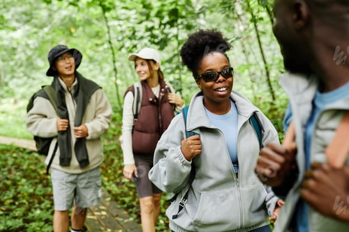 Preview: Diverse Group of Friends Exploring Forest