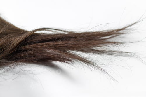 Preview: Black Hair Over White