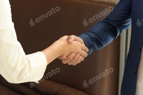 Preview: Business people shaking hands