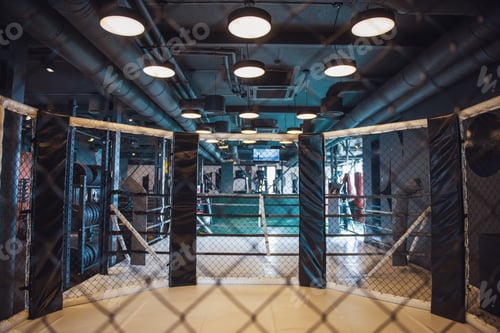 Preview: Modern boxing ring