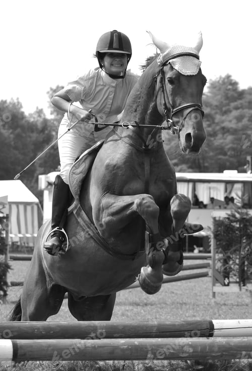 Preview: Horse Jumping