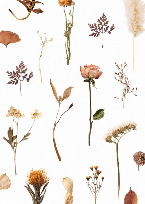 Preview: Dried flower and leaf patterned background