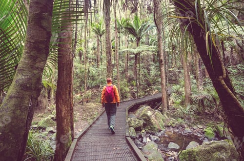 Preview: Tramping