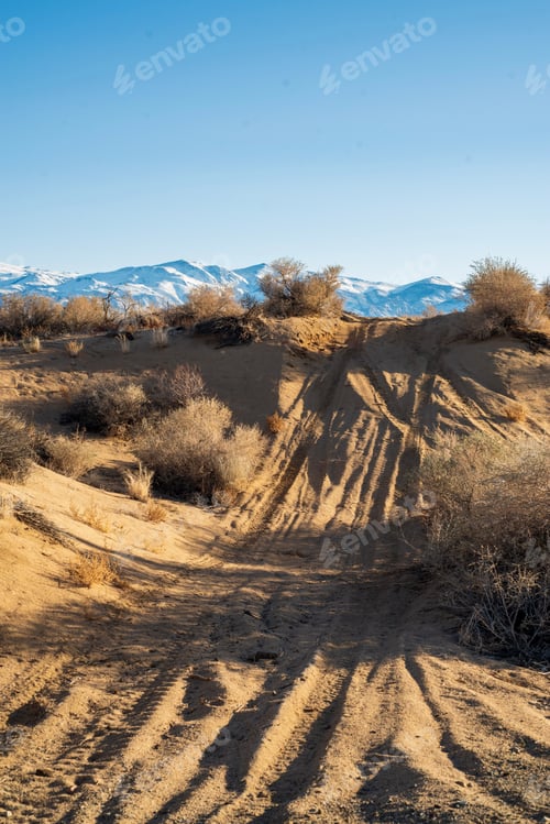 Preview: Off-road vehicle tracks in sand dune