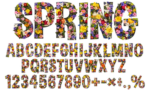 Preview: Flower font, a spring alphabet from real living flowers with a white background.