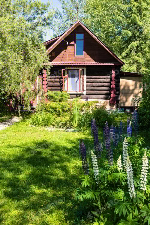 Preview: wooden rural log house in ornamental garden