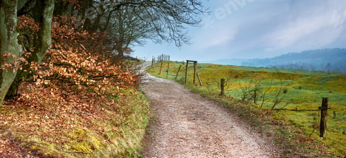 Preview: A dirt road through lowland heath landscape Rebild National Park, Jutland, Denmark.