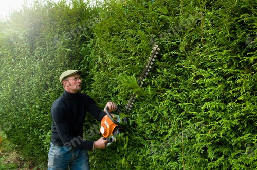 Preview: A man trimming a tall hedge with a motorized hedge trimmer.