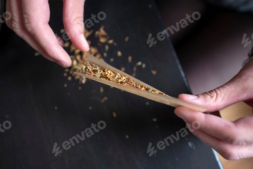 Preview: Young woman making a marijuana cigarette for health reasons