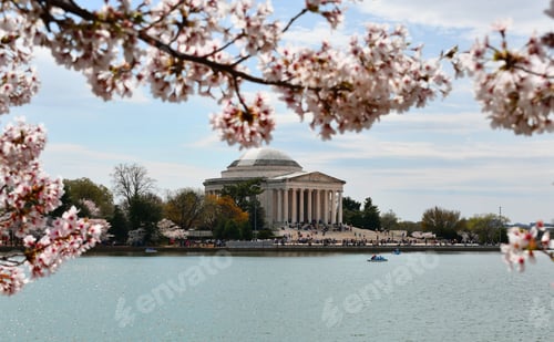 Preview: Tidal Basin and Jefferson Memorial during spring