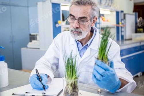 Preview: Scientist in lab examiming plant and taking notes
