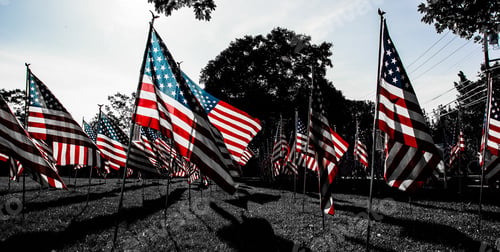 Preview: American Flags, Oceanside, New York, Long Island, United States, America