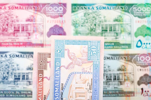 Preview: Somaliland shilling a business background