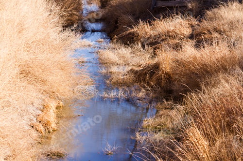 Preview: Drainage ditch