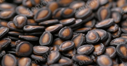 Preview: Black watermelon seed