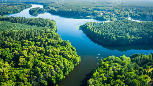 Preview: Aerial view of winding river and green forests in summer