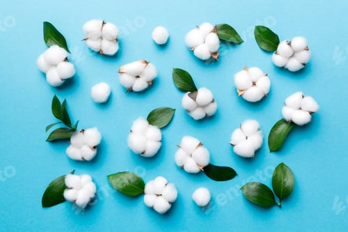 Preview: Autumn Floral Flat lay background composition. Dried white fluffy cotton flower green leaf top view