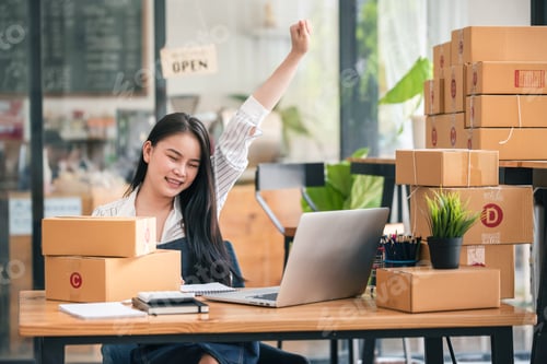 Preview: Small Startup Business Owners Excited for Workplace Selling, Freelancers, Salespeople, Order Verific