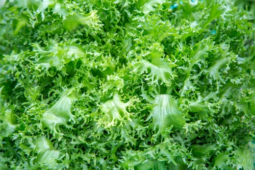 Preview: Green salad