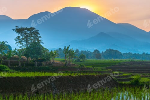 Preview: Beautiful morning view indonesia, Panorama Landscape paddy fields with beauty color and sky natural