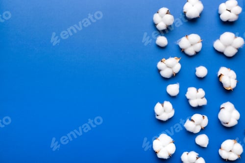 Preview: Autumn Floral Flat lay background composition. Dried white fluffy cotton flower