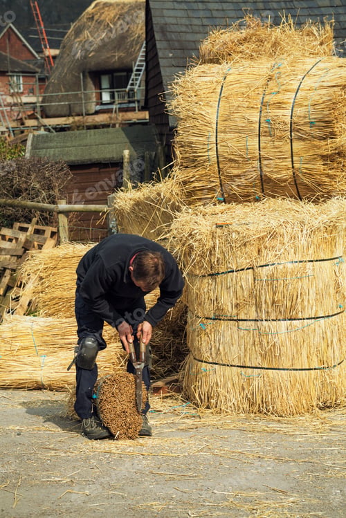 Preview: Thatcher cutting a yelm of straw with a pair of shears.