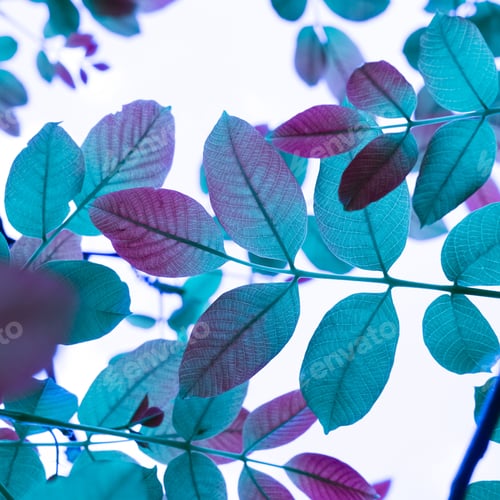 Preview: Vibrant array of colorful leaves dangling from tree branches against a bright sky