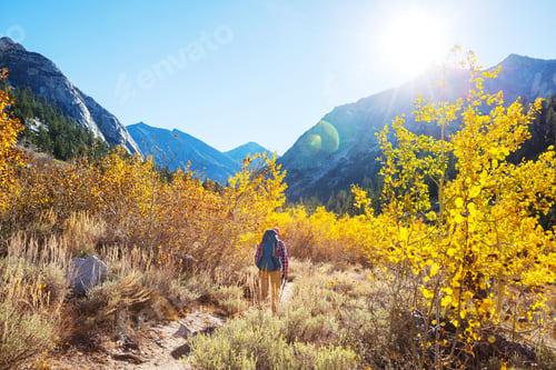 Preview: Hike in autumn season