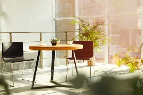 Preview: Trendy room interior with different home plants