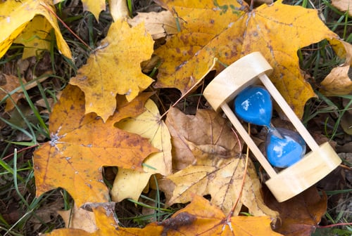 Preview: A blue sand clock is sitting on the ground in a field of fallen brown leaf. Concept of fall season