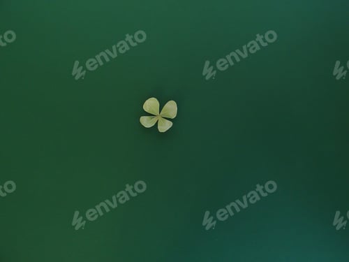 Preview: Four leaf clover