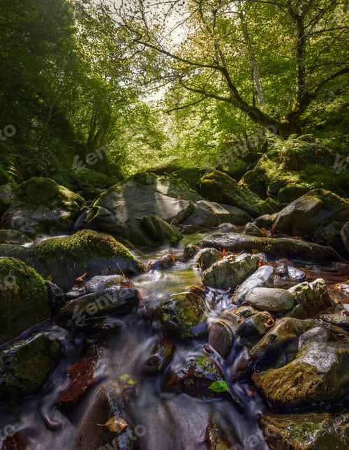 Preview: mountain stream through forests