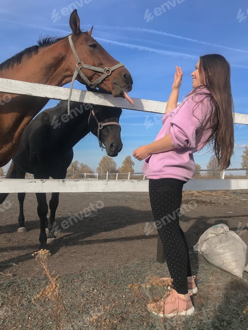Preview: Horses on a farm