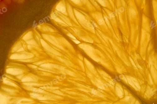 Preview: Macro shot of an orange slice, produced in a studio environment