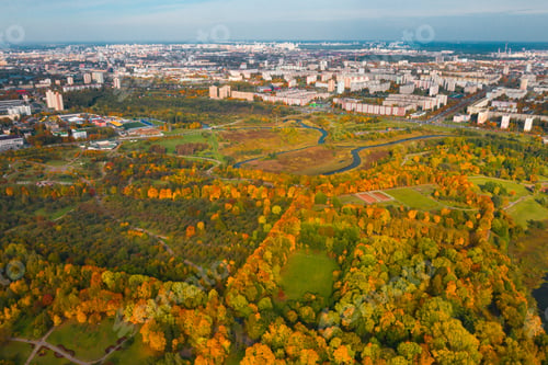 Preview: Autumn landscape in Loshitsky Park in Minsk. Belarus.Golden autumn