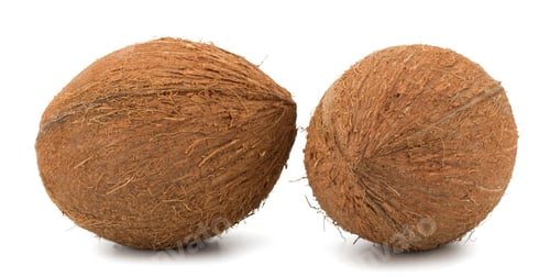 Preview: Coconuts isolated on white background