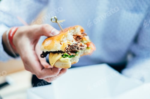Preview: yummy burger