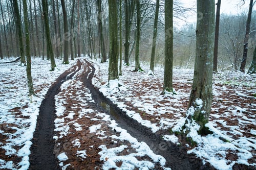 Preview: Dirt muddy road in a snowy forest