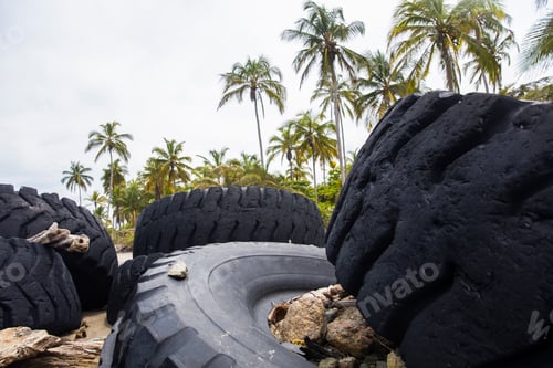 Preview: Used truck wheels in the tropical forest